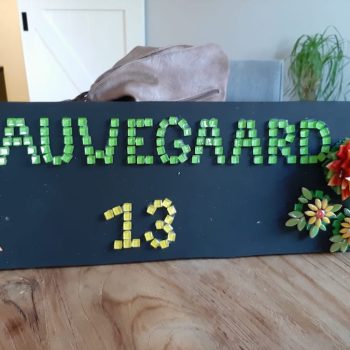 projecten-IMG-WA0016